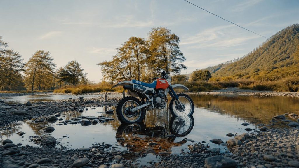 Routes door de Ardennen