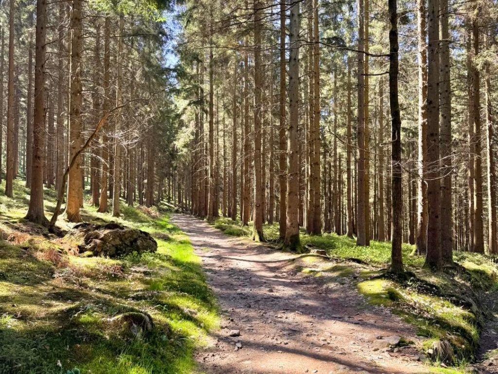 avontuurlijke trektochten
